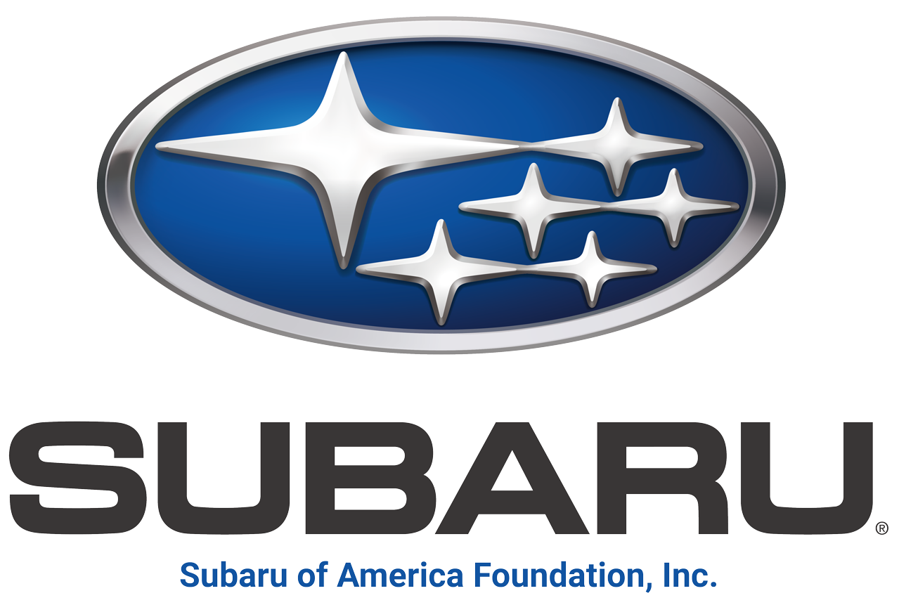 Subaru-4c_Vertical-Foundation